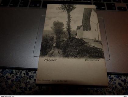 Cpa Hoeylaert Chemin creux Hoeilaart
