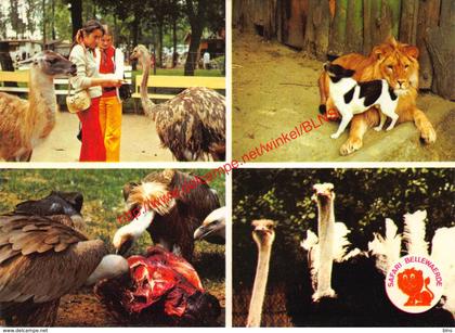 Safari Bellewaerde - Zillebeke - Ieper