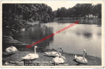 Un coin des Etangs d'Ixelles - Place E. Flagey - Elsene - Ixelles