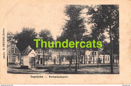 CPA KAPRIJKE CAPRYCKE CAPRIJCKE KAPRYCKE VARKENSMARKT