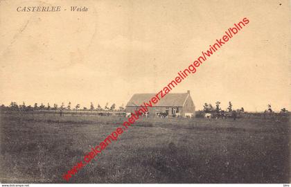Casterlee - Weide - Kasterlee