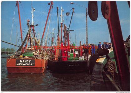 Kindervreugd - Koksijde