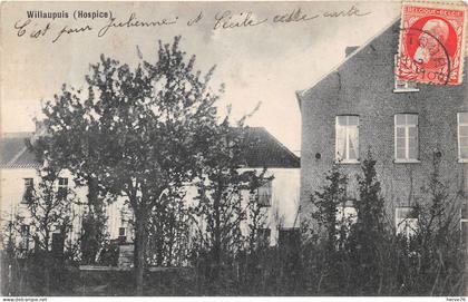 BELGIQUE - WILLAUPUIS ( Hospice)