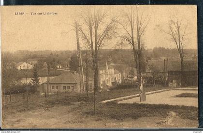 Vue sur Libin-bas - neuve - Photo Duchêne, Libin