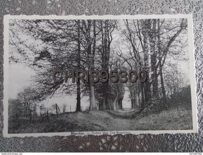 CP - MARCHIN - DREVE DES DIX BONNIERS - BELGIQUE