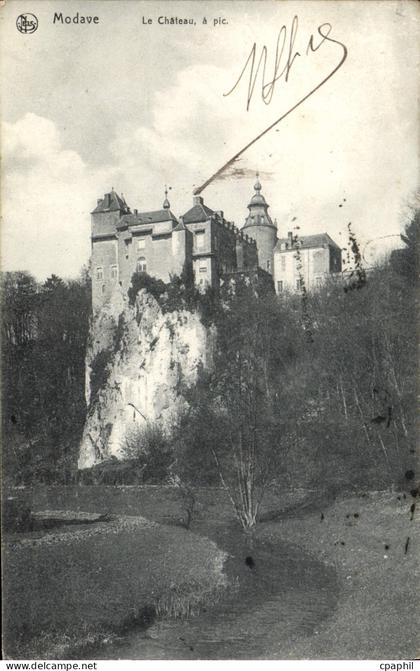 CPA Modave Le Chateau