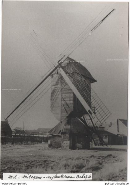 Mol - Milegem - Bokrijk - Molen - & windmill