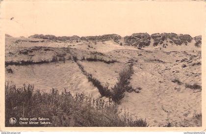 RBELGIQUE - NIEWPORT - Notre petit Sahara - Carte Postale Ancienne