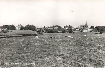 [-15%] BELGIQUE - Ohey - Un coin du bois dOhey - Carte postale