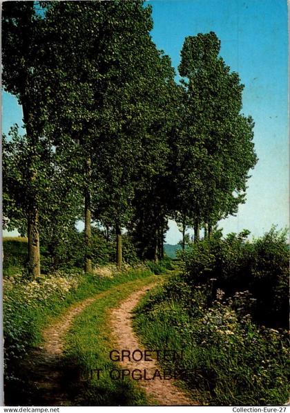 (28/05/26) BELGIQUE-CPSM OPGLABBEEK