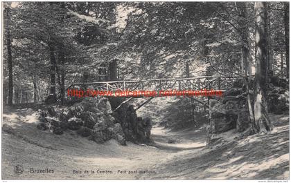1913 Petit pont rustique - Bois de la Cambre