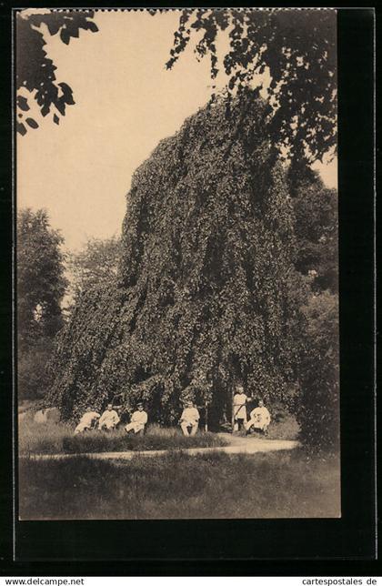AK Brüssel / Bruxelles, Kriegslazarett II, Gartenlaube