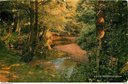 CPA A NEW FOREST STREAM