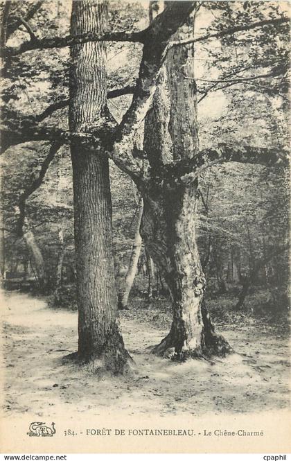 CPA Foret de fontainebleau Le Chene Charme