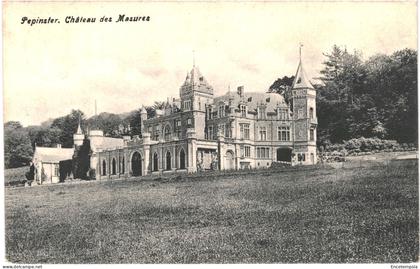 CPA  Carte postale Belgique Pepinster  Château des Masures 1908 VM69602