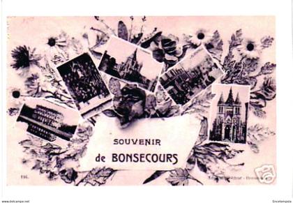 Copie d'une ancienne carte postale Bonsecours Souvenir de Bonsecours VS218