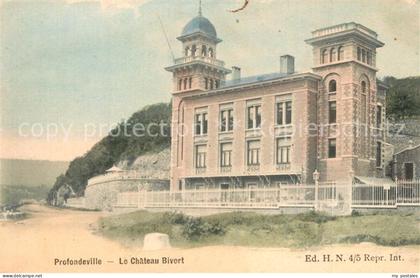 Profondeville Le Chateau Bivort