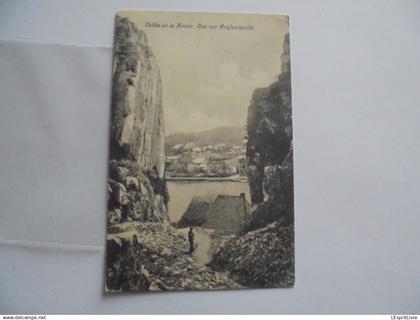 PROFONDEVILLE Vallée de la Meuse Vue Sur Profondeville Animée Carte Postale CP Post Card