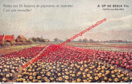 Visitez nos 55 hectares de pépinières et roseraies - Putte