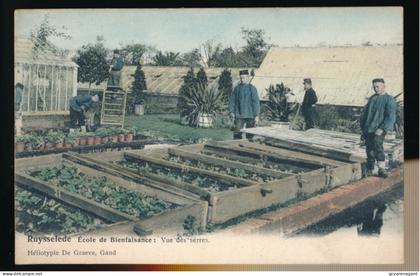 RUISELEDE   ECOLE DE BIENFAISANCE.  VUE DES SERRES