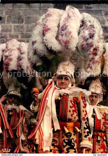 Binche Hainaut Belgie Carnaval