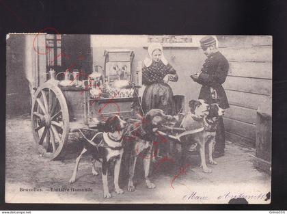Bruxelles - Laitière flamande - Attelage de chiens - postkaart