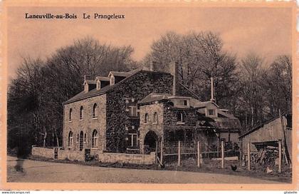 Tenneville - LA NEUVILLE  au BOIS " le Prangeleux "