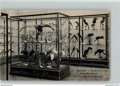 11103067 - Tervuren Tervueren