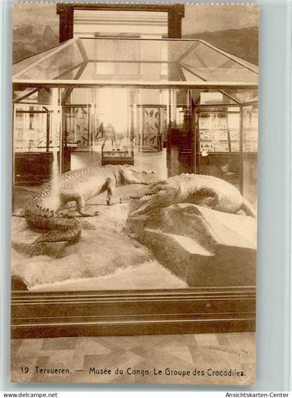 11103088 - Tervuren Tervueren