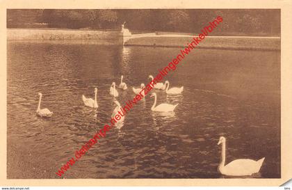 Le Parc - Bassin Miroir - Tervuren Tervueren