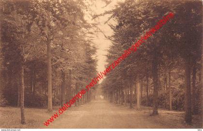 Kasteeldreef - Vorselaar