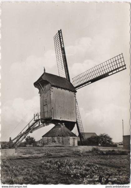 Vosselaar - De molen - & windmill