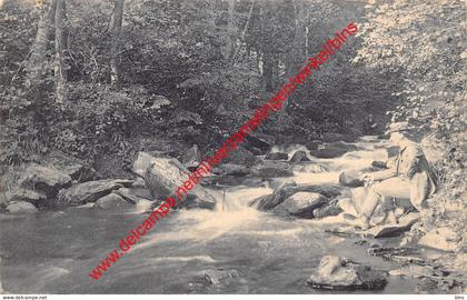 Ruisseau du Petit-Fays - Vresse-sur-Semois