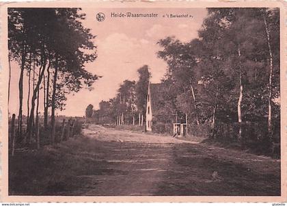 Waasmunster Heide-Waasmunster "t Berkenhof"