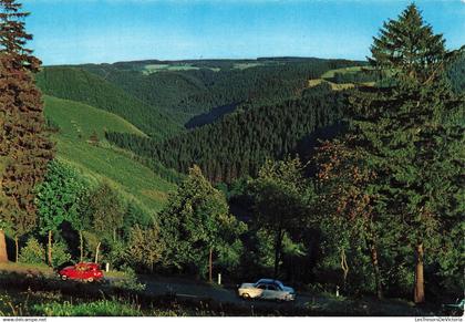 [-5%] BELGIQUE - Hautes Fagnes - Route pittoresque entre Mont Xhoffraix et Malmédy - Editions Lander Eupen - Carte posta