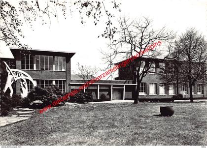 Gemeentelijke jongensschool - Monument Hulde aan de Arbeid - Willebroek