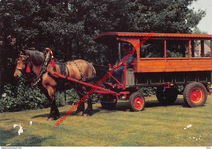 Groeten uit Zoersel - Huifkar - Zoersel