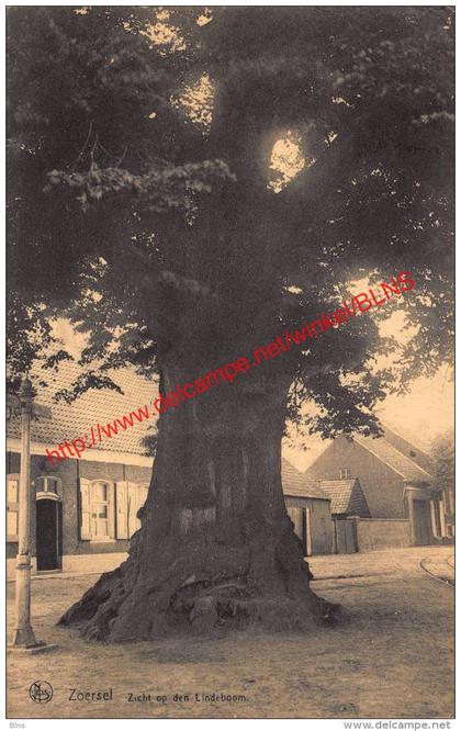 Zicht op den Lindeboom - Zoersel