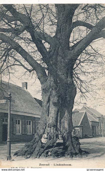 ZOERSEL  LINDENBOOM           2 SCANS