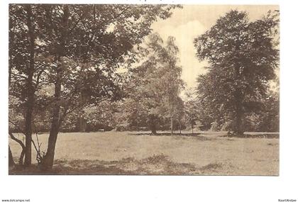 Zomergem - Kasteel Durmen - Het park.