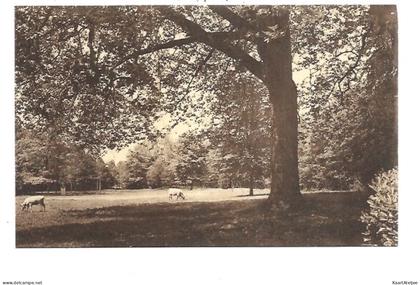 Zomergem - Kasteel Durmen - Zicht op het park.