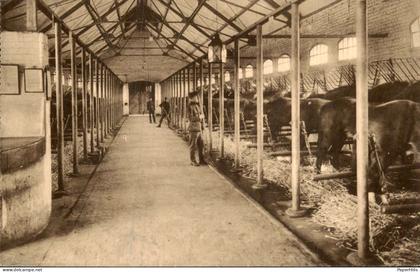 België Belgium - Tournai Doornik