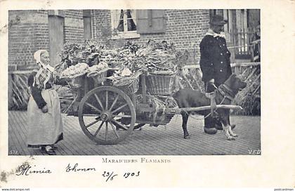 Belgique - Laitière flamande et sa voiture à chien - Vlaamse melkmeid en haar hondenkar - Flemish milkmaid with her dog