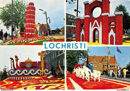BG5232 lochristi  important centre horticole   belgium