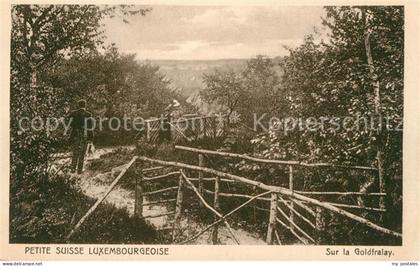 Luxembourg Luxembourg Sur la Goldfralay