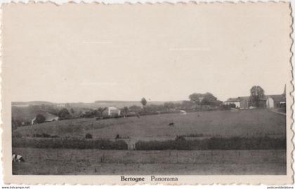 Bertogne - Panorama