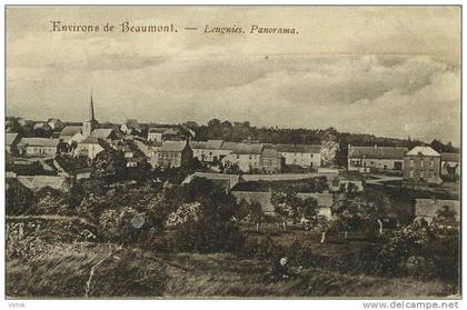 Beaumont :  environs :  Leugnies  : panorama