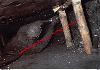 Domaine touristique de Blegny - Blegny