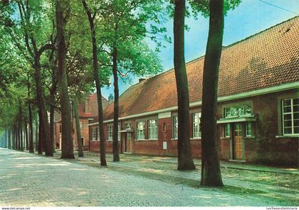 BELGIQUE - Lovendegem - Jongensschool - Kasteeldreef - Ecole de garçons - Allée - Bâtiment - Carte postale