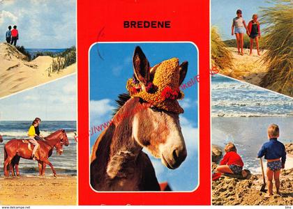 Ezel - Bredene